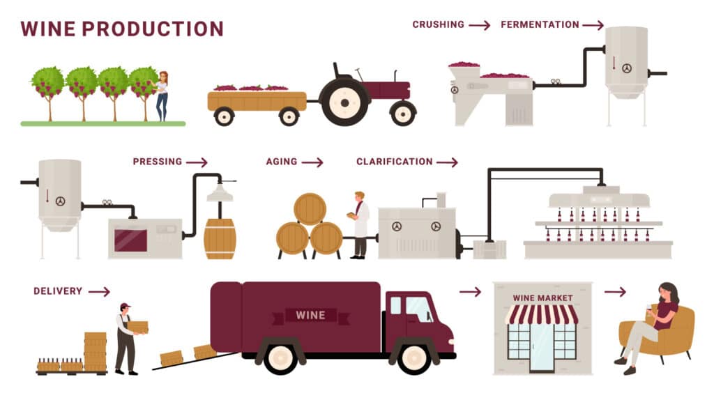 Process of wine production