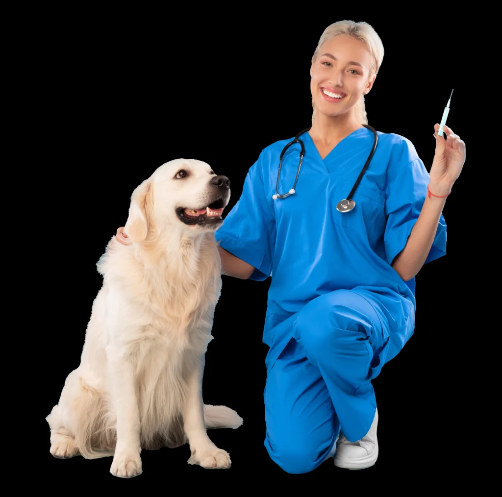 Veterinary