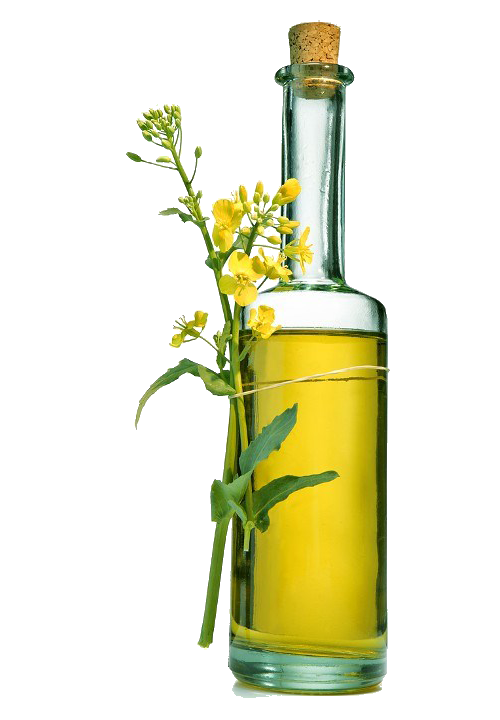 Edible-Oils-bottle