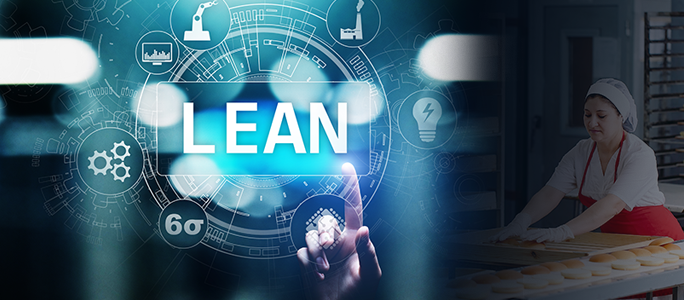 ERP Software for Lean Manufacturing